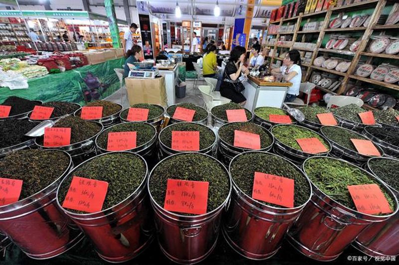 绿茶批发生意的最新动态与趋势